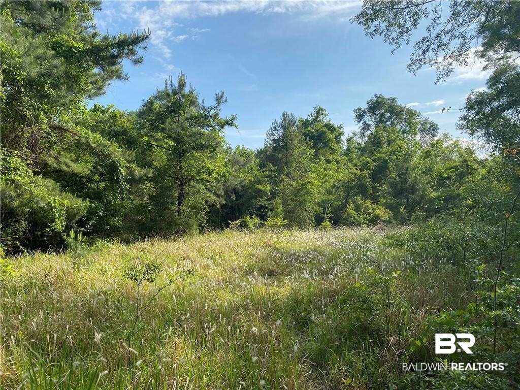 0 Aubrey Lane Chunchula, AL 36521 - Photo 6 of 7