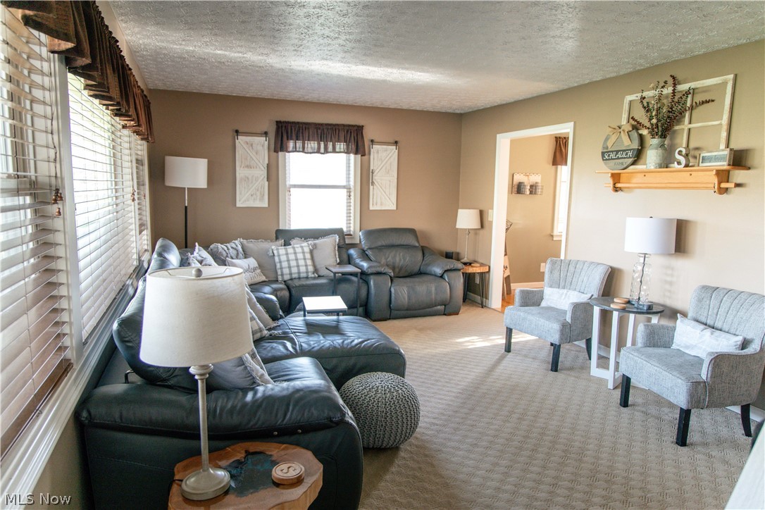 4750 Turney Road Madison, OH 44057 - Photo 8 of 42 Carpeted living room with a textured ceiling