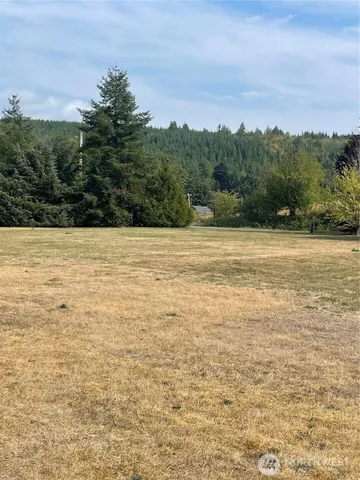 a view of swimming pool with lawn chairs and large tree