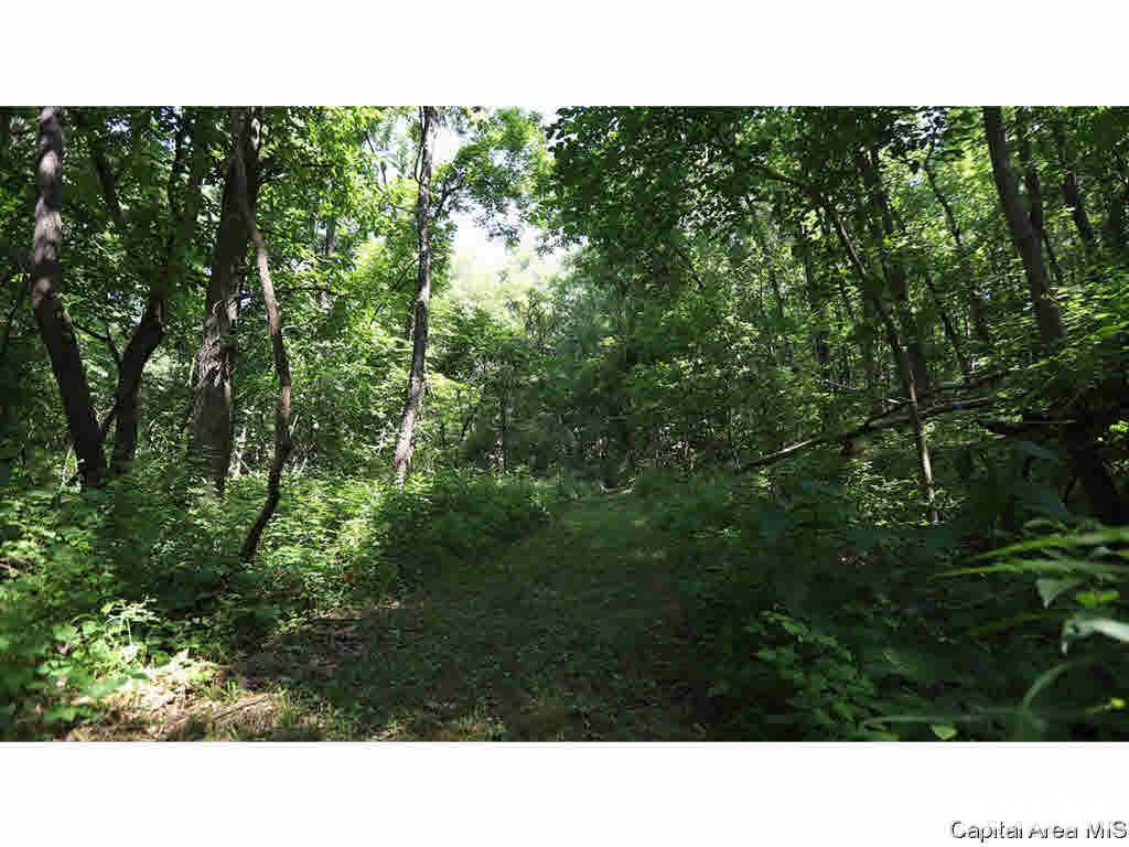 0 Unnamed Road Nebo, IL 62335 - Photo 11 of 27 Gallery Image 11