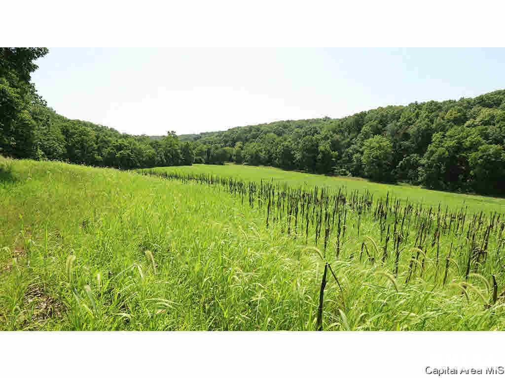 0 Unnamed Road Nebo, IL 62335 - Photo 20 of 27 Gallery Image 20