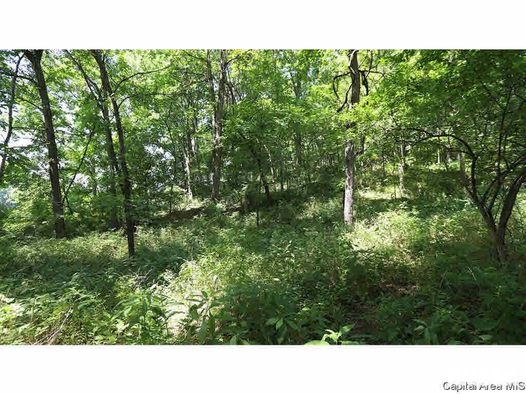 0 Unnamed Road Nebo, IL 62335 - Photo 21 of 27 Gallery Image 21