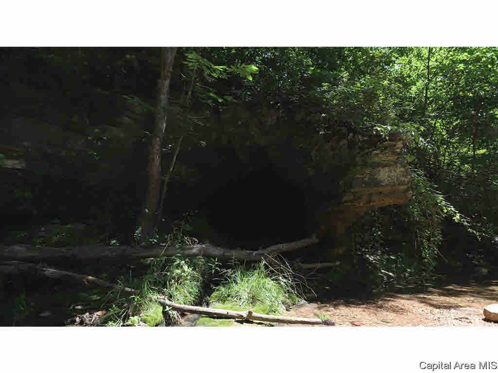 0 Unnamed Road Nebo, IL 62335 - Photo 23 of 27 Gallery Image 23