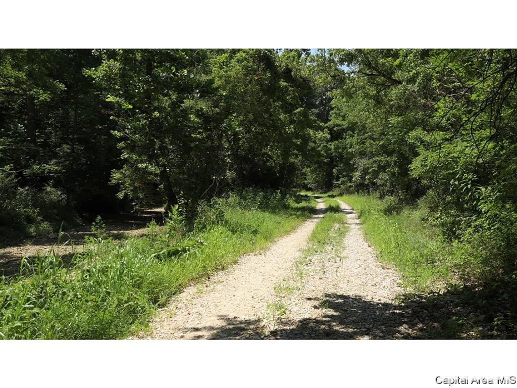 0 Unnamed Road Nebo, IL 62335 - Photo 27 of 27 Gallery Image 27