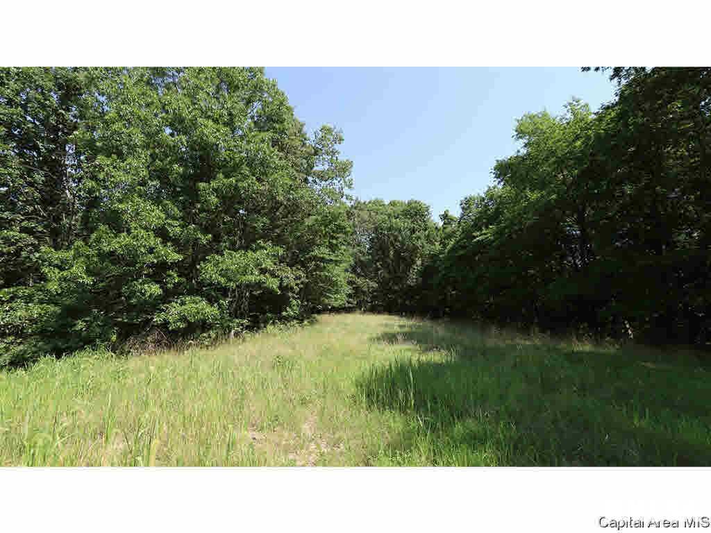 0 Unnamed Road Nebo, IL 62335 - Photo 8 of 27 Gallery Image 8