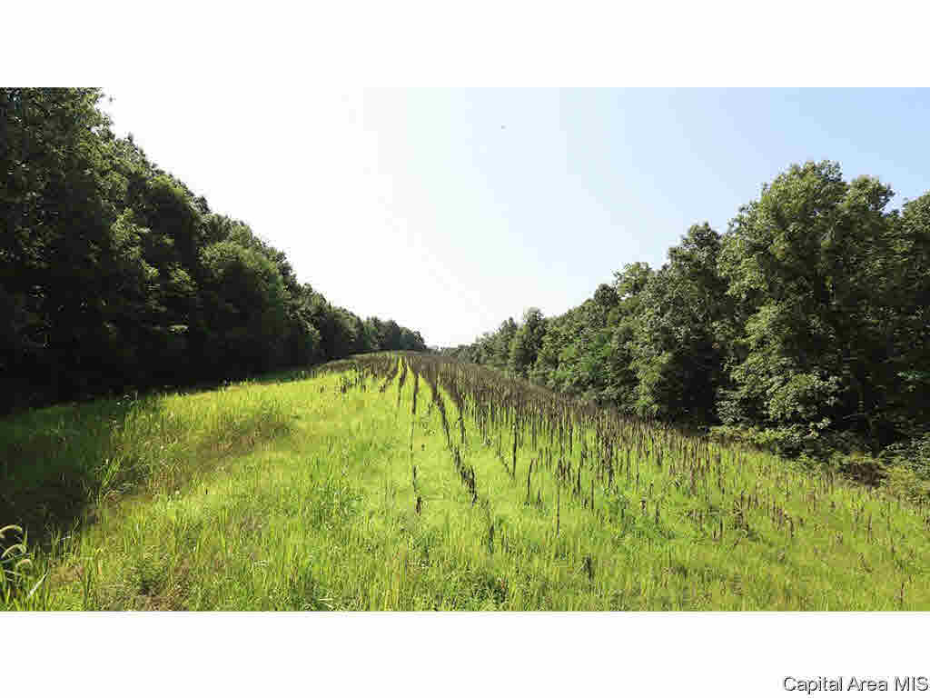 0 Unnamed Road Nebo, IL 62335 - Photo 9 of 27 Gallery Image 9