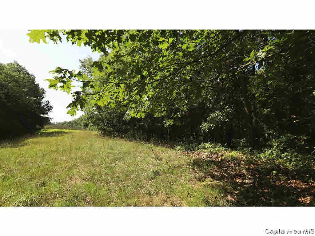 0 Unnamed Road Nebo, IL 62335 - Photo 10 of 27 Gallery Image 10