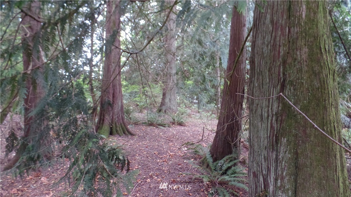 366 Alger CCC Road Sedro-Woolley, WA 98284 - Photo 24 of 25
