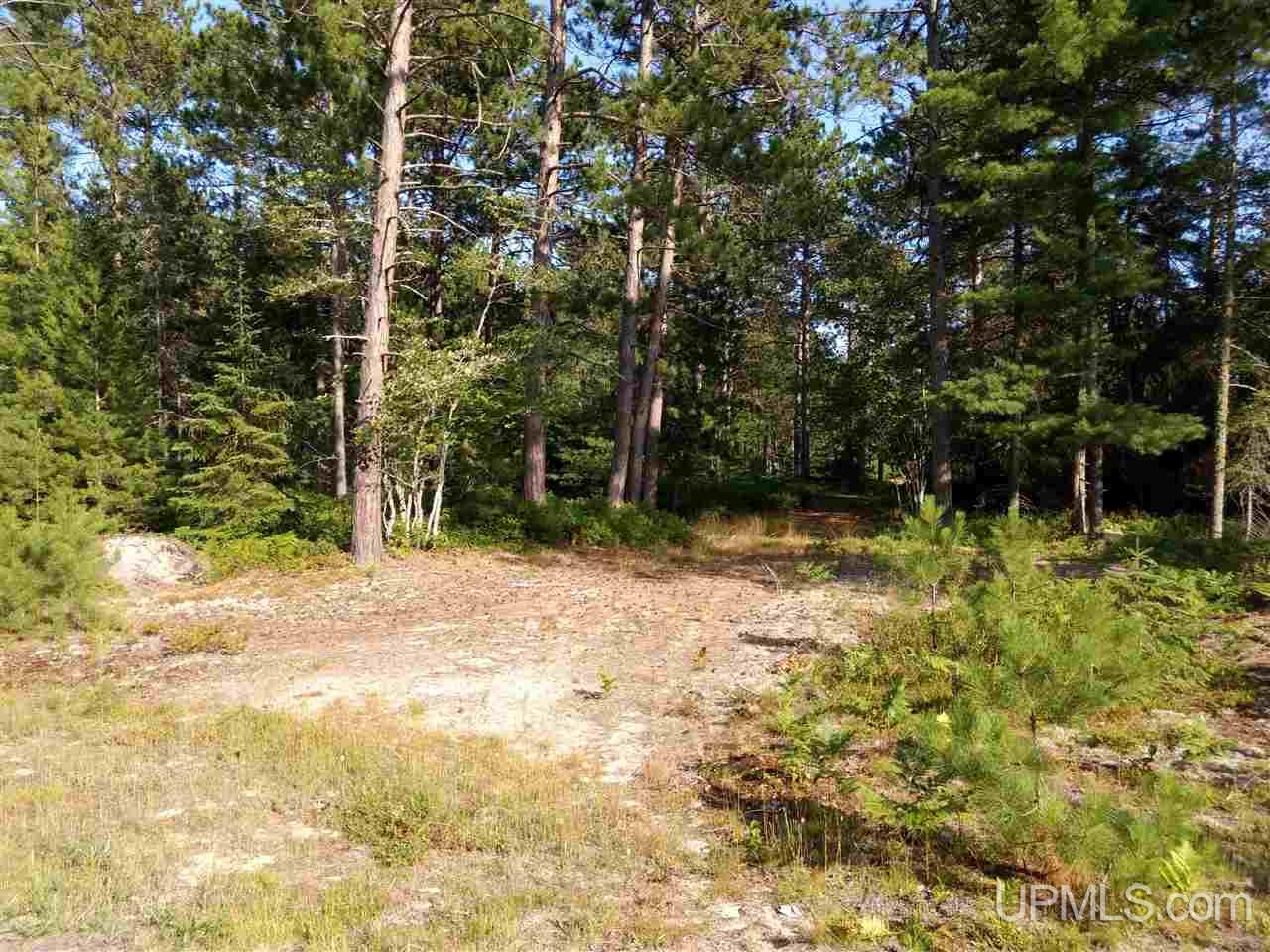 Unit 38-tbd Little Rice Lake Road, Unit 38 Lake Linden, MI 49945 - Photo 1 of 28