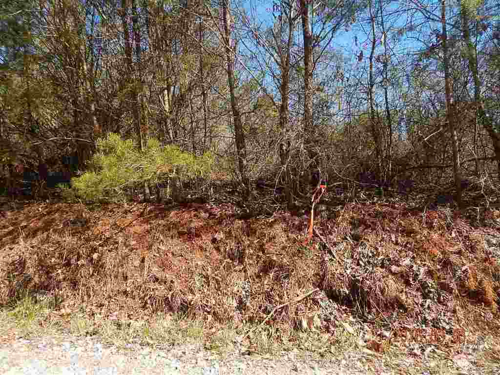 191 Old Hurricane Road Westminster, SC 29693 - Photo 5 of 30 Gallery Image 5