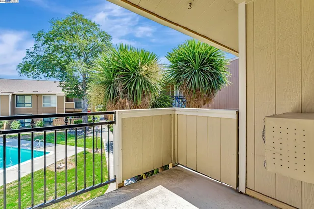 a view of a palm trees front of house