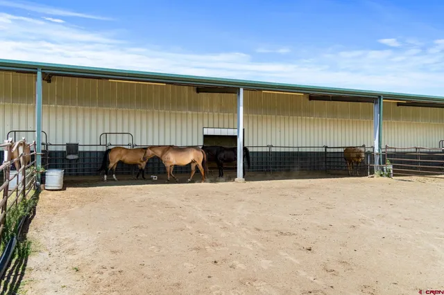 a view of a house with big yard and a large tree