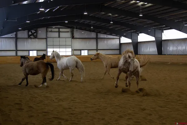 a view of an empty room with gym equipment