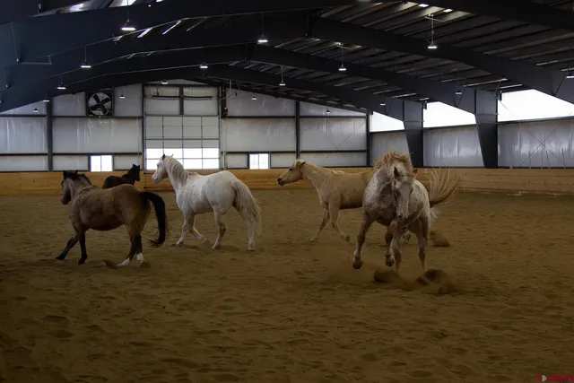 a view of an empty room with gym equipment