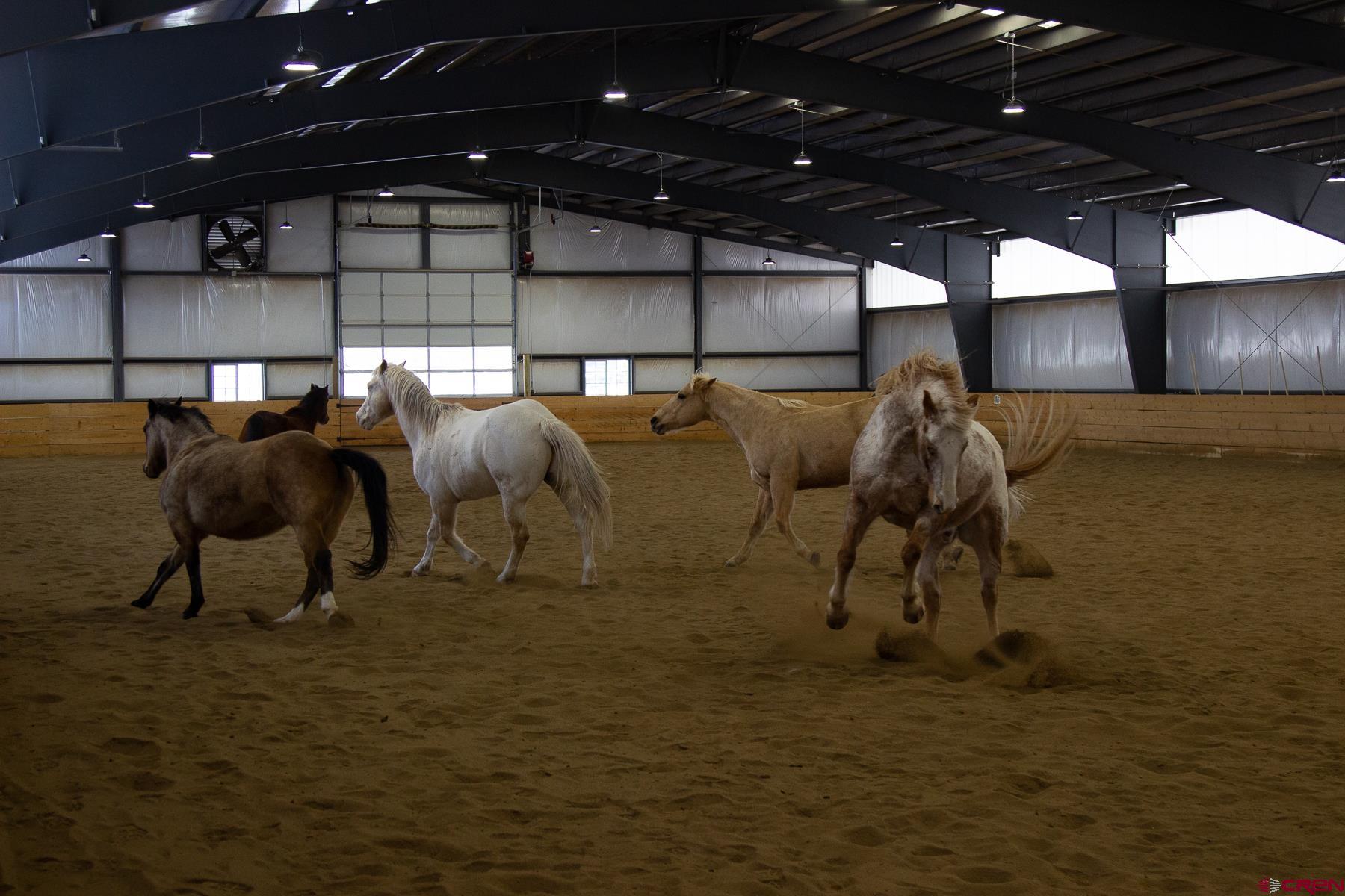 616 Cole Ranch Road Durango, CO 81303 - Photo 7 of 43 a view of an empty room with gym equipment