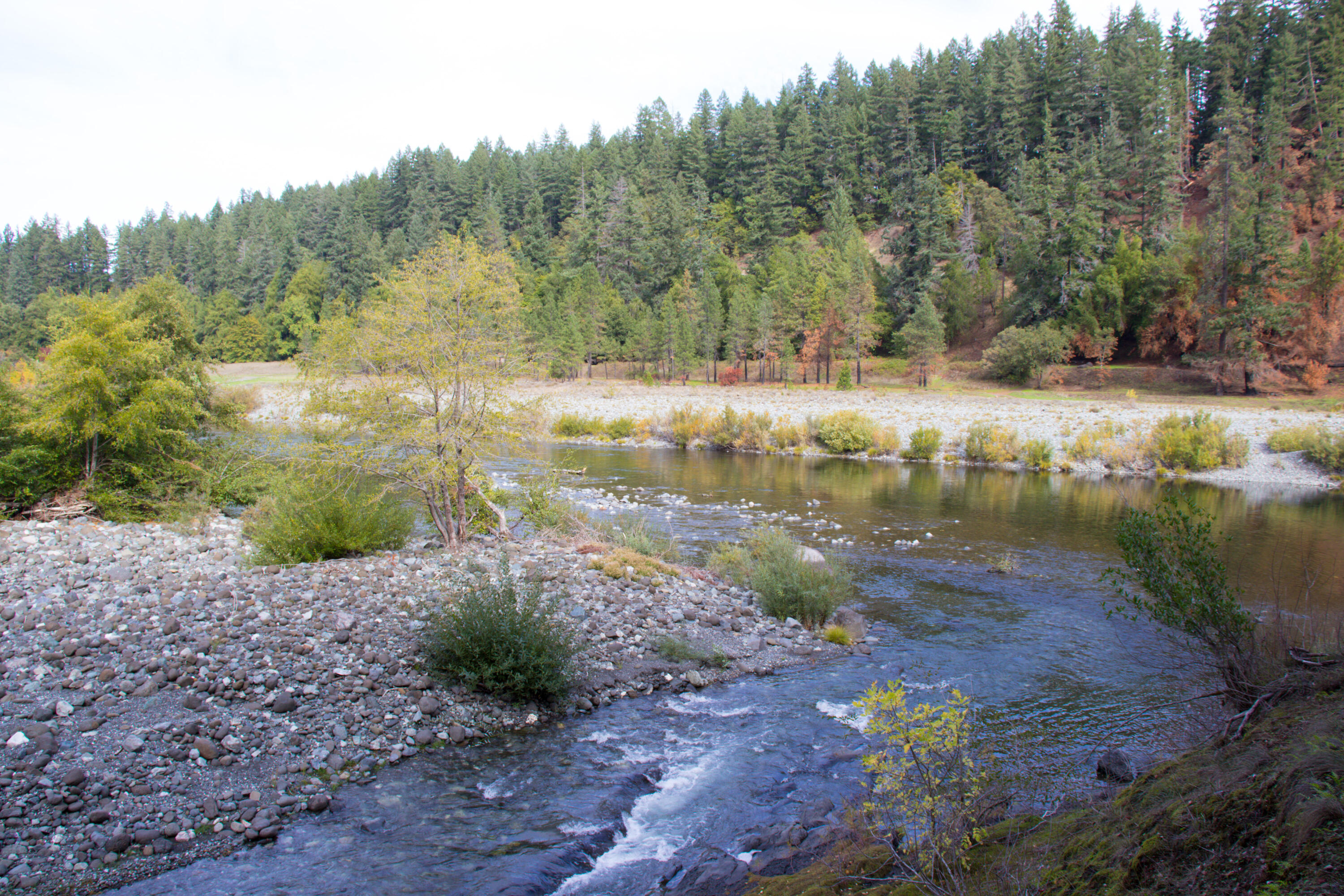 32900 Illinois River Road Agness, OR 97406 - Photo 21 of 23 IMG_1700_edited