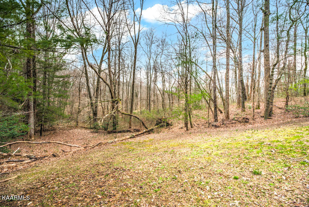 130 Reservoir Road Norris, TN 37828 - Photo 38 of 38 220309Rsvr130.51