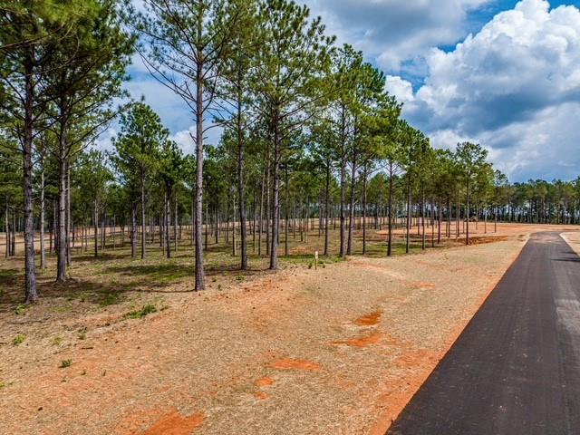 210 Whispering Ridge Northeast Milledgeville, GA 31061 - Photo 5 of 32