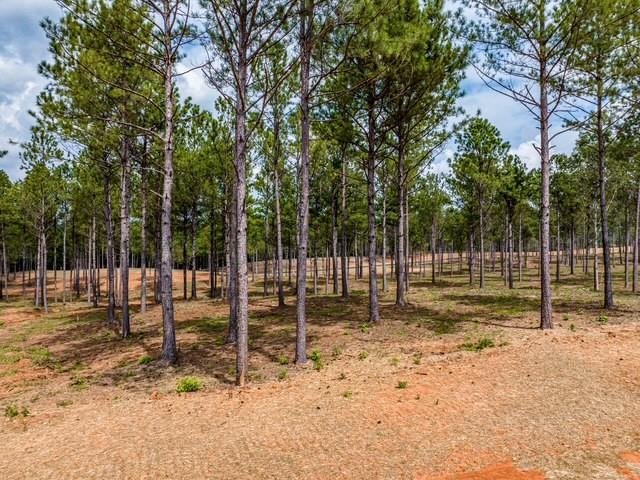 210 Whispering Ridge Northeast Milledgeville, GA 31061 - Photo 6 of 32