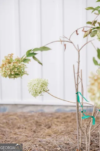 $259,000 | 144 Yardley Avenue, Baxley, GA 31513