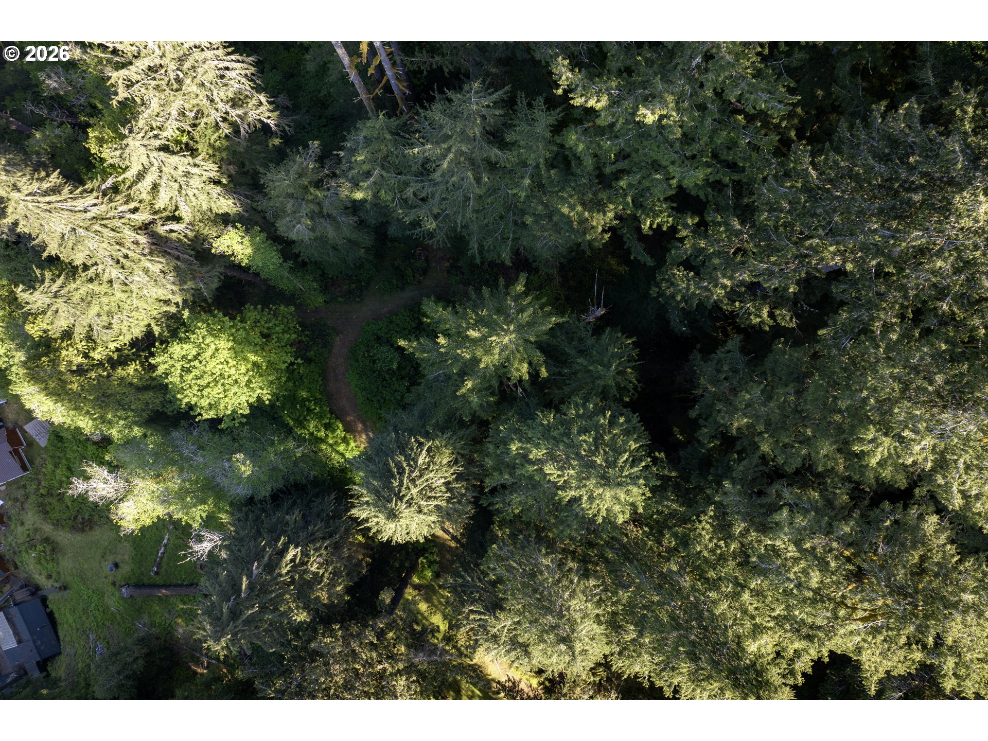 1901 Loon Lake Road Reedsport, OR 97467 - Photo 21 of 24 a view of a tree in a garden