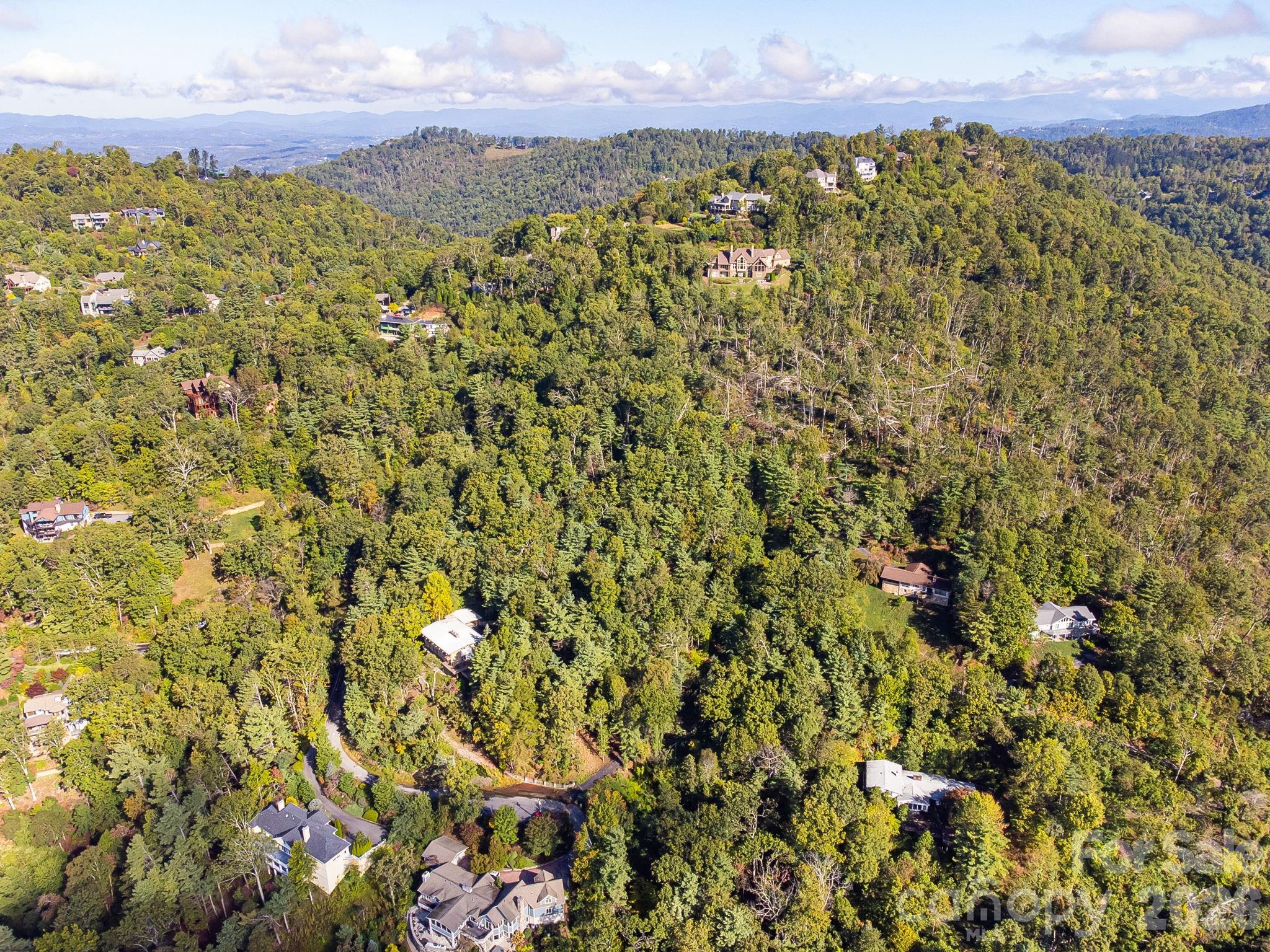 99999 Beaverbrook Road, Unit 2 Asheville, NC 28804 - Photo 11 of 33 a view of a houses with a lush green forest