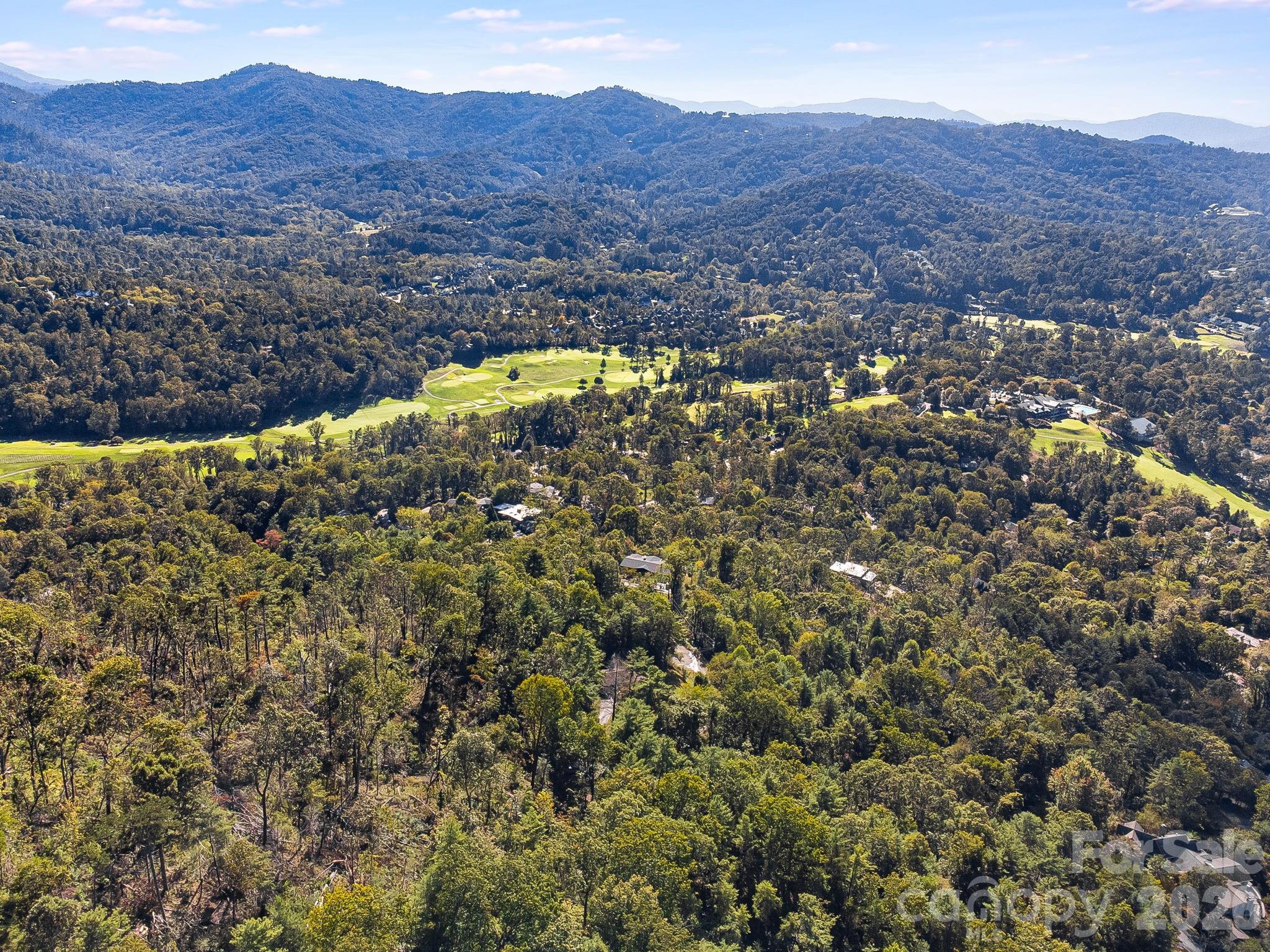 99999 Beaverbrook Road, Unit 2 Asheville, NC 28804 - Photo 20 of 33 a view of a mountain