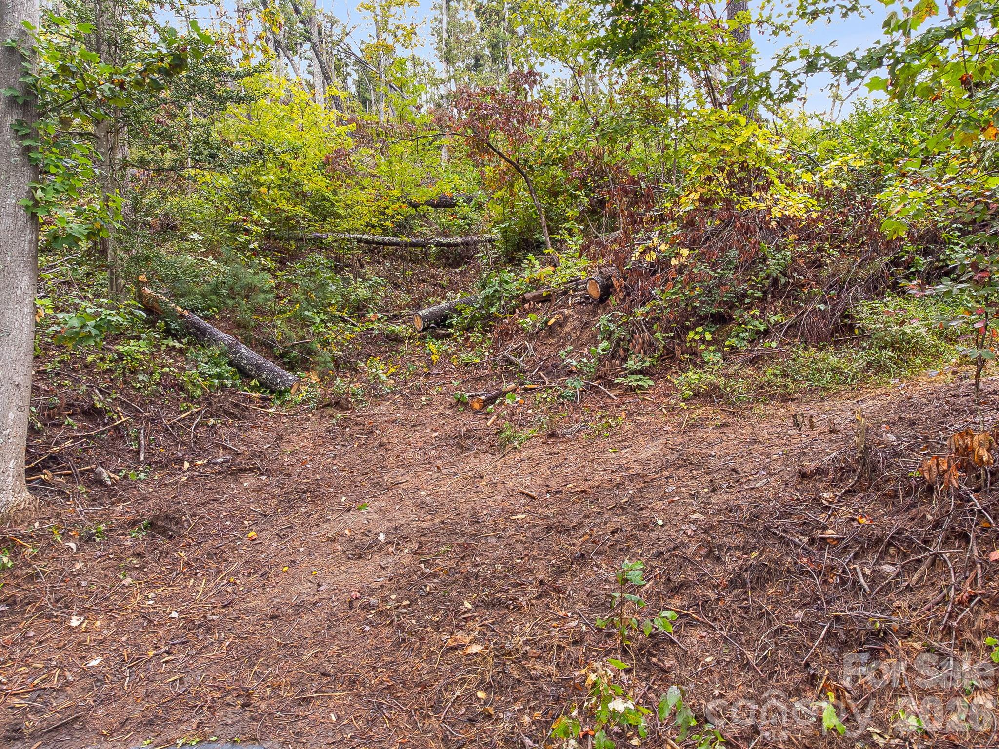99999 Beaverbrook Road, Unit 2 Asheville, NC 28804 - Photo 21 of 33 a view of a yard