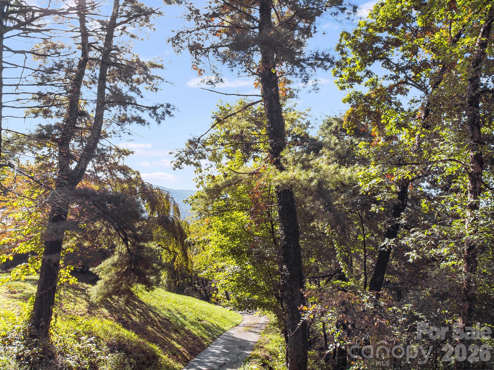 99999 Beaverbrook Road, Unit 2 Asheville, NC 28804 - Photo 25 of 33