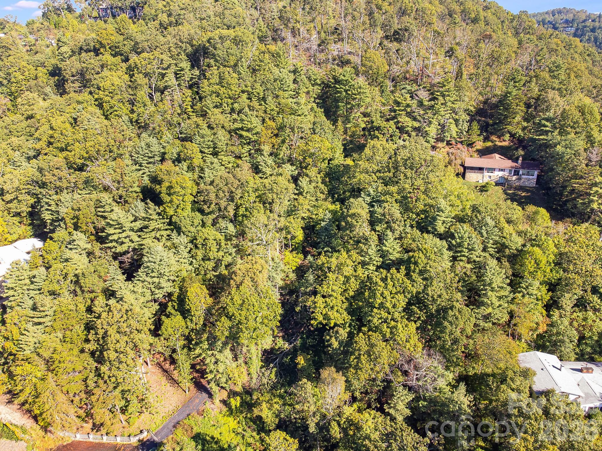 99999 Beaverbrook Road, Unit 2 Asheville, NC 28804 - Photo 29 of 33 a view of a bunch of trees and bushes