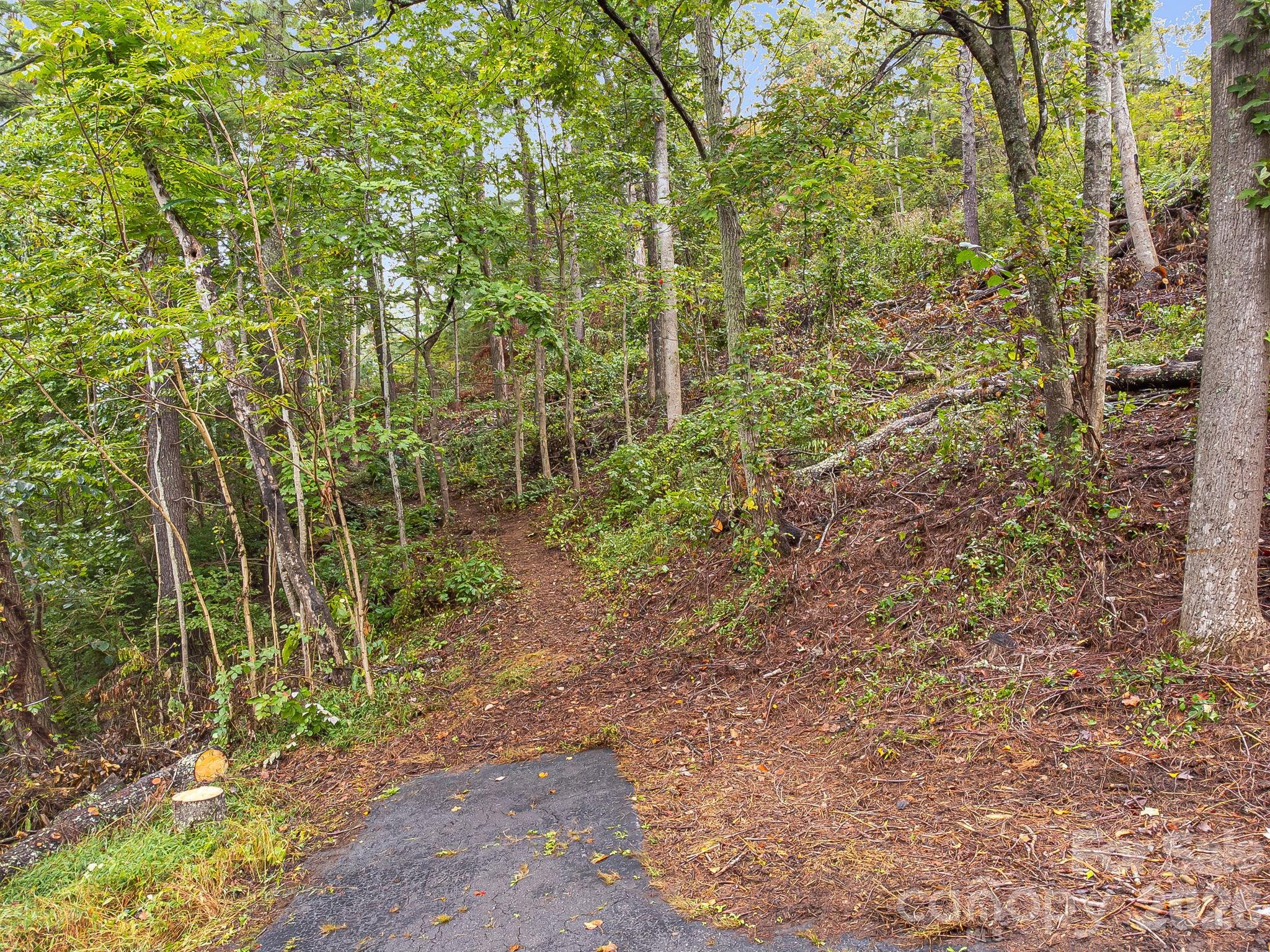 99999 Beaverbrook Road, Unit 2 Asheville, NC 28804 - Photo 3 of 33 a view of a garden with a pathway