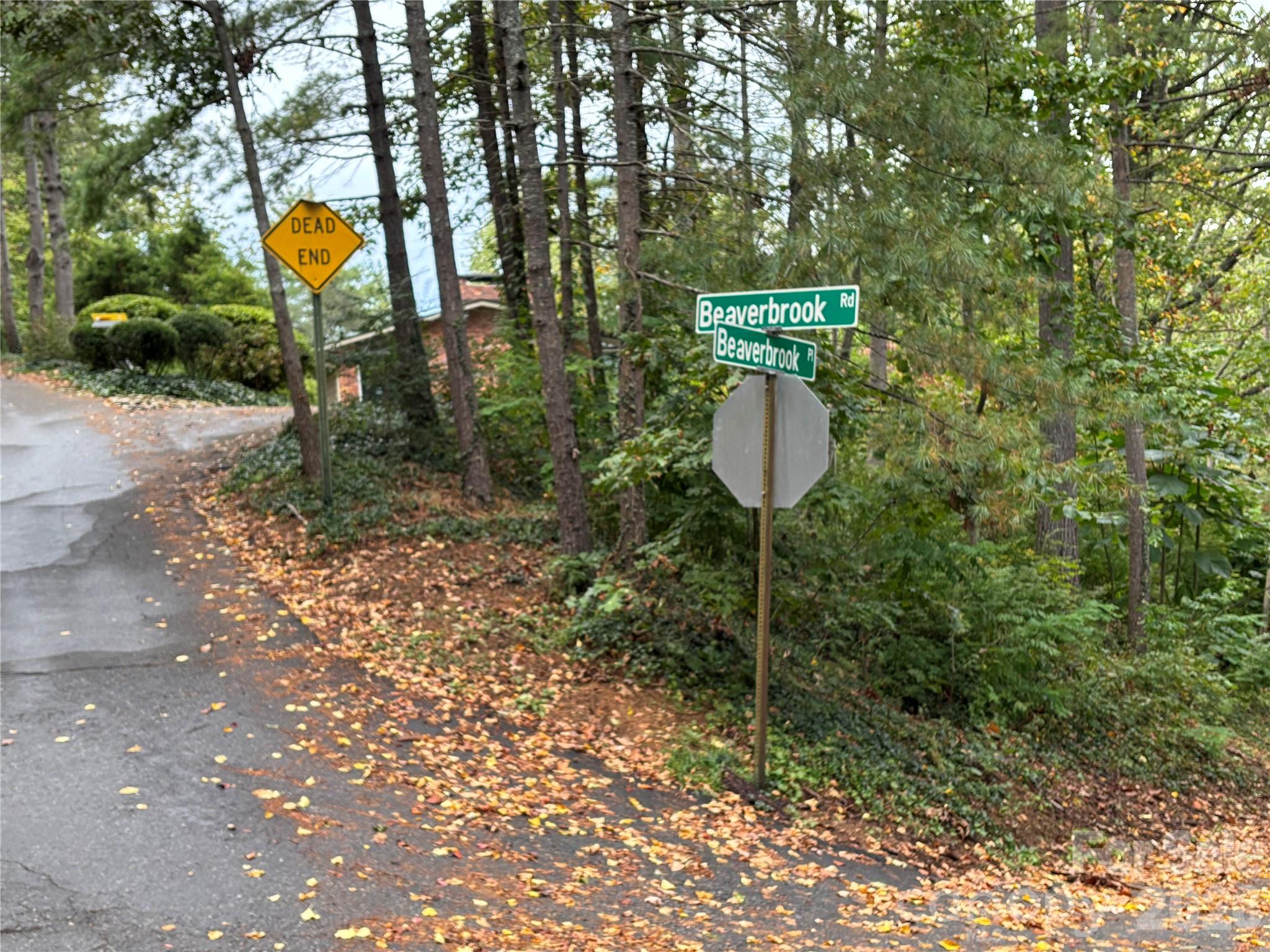 99999 Beaverbrook Road, Unit 2 Asheville, NC 28804 - Photo 33 of 33