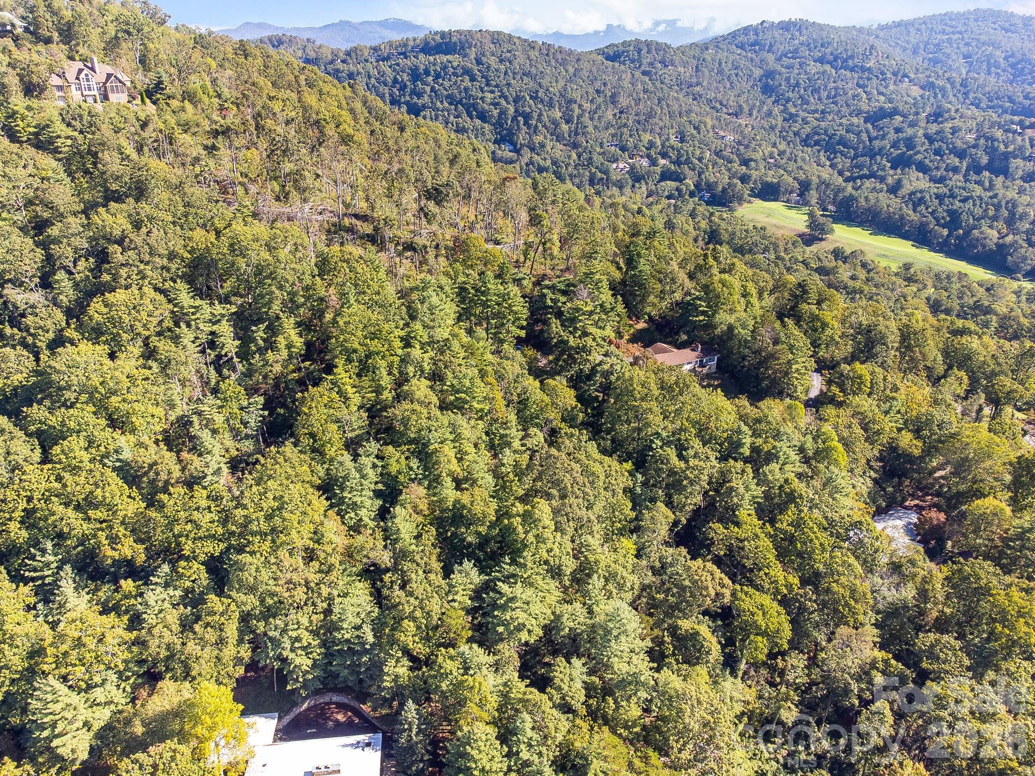 99999 Beaverbrook Road, Unit 2 Asheville, NC 28804 - Photo 8 of 33 a view of a bunch of trees and bushes