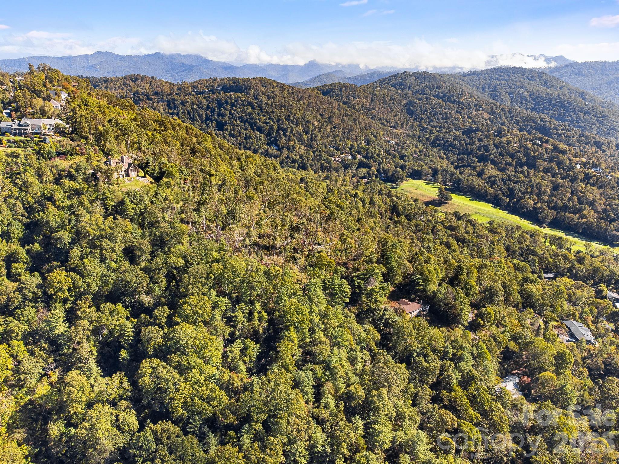 99999 Beaverbrook Road, Unit 2 Asheville, NC 28804 - Photo 10 of 33 a view of a city with mountains in the background