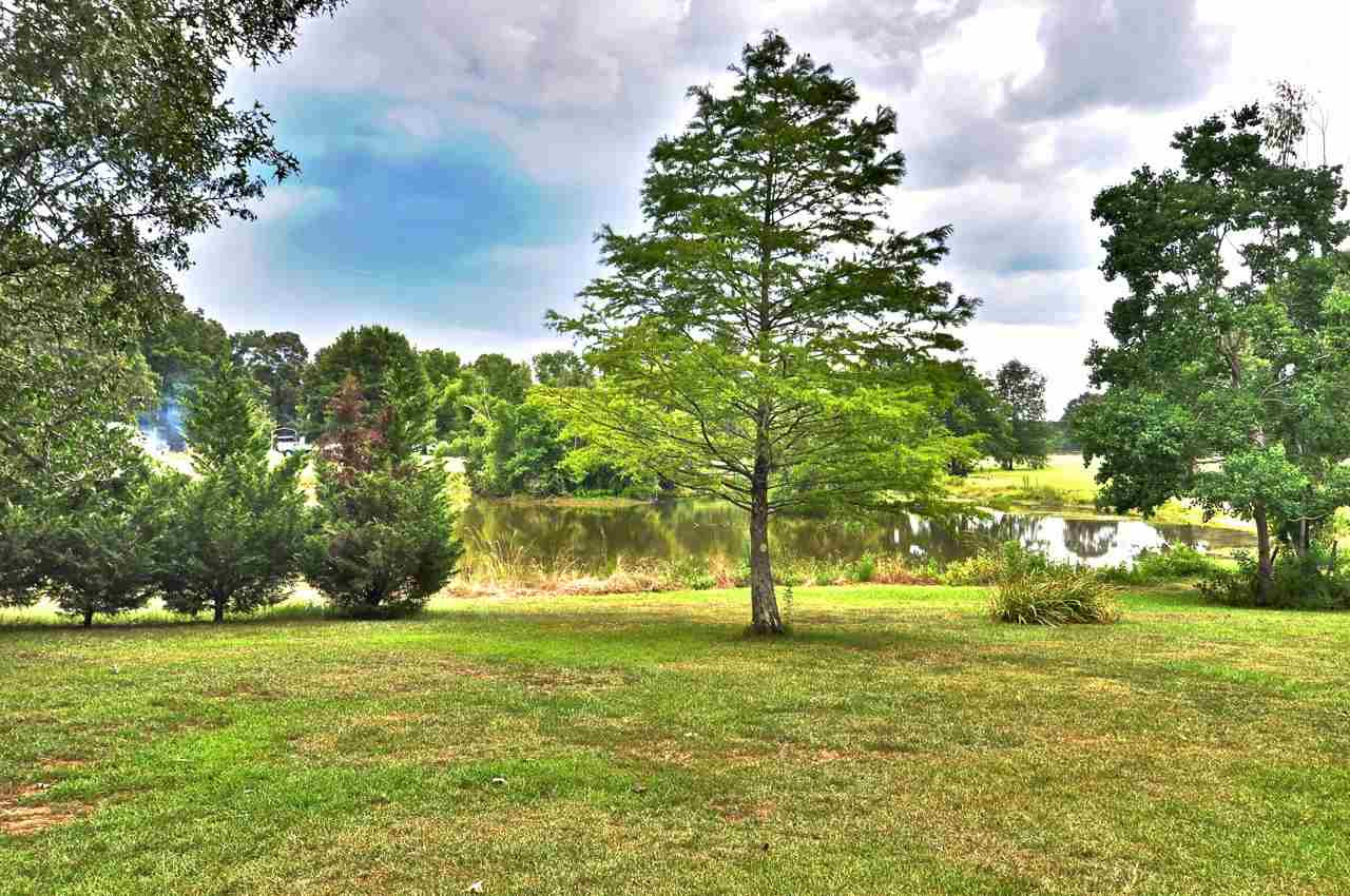 1847 Kimbell Road Terry, MS 39170 - Photo 6 of 34 Photo 6