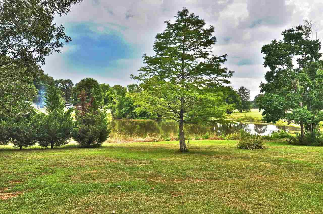 1847 Kimbell Road Terry, MS 39170 - Photo 7 of 34 Photo 7