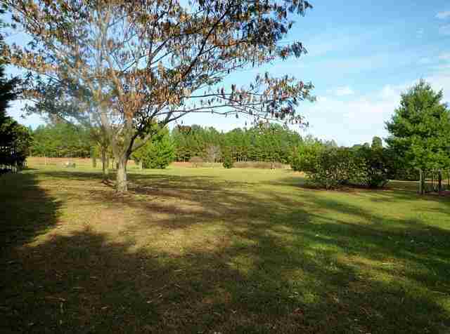 1098 Winn Road Donalds, SC 29638 - Photo 3 of 18
