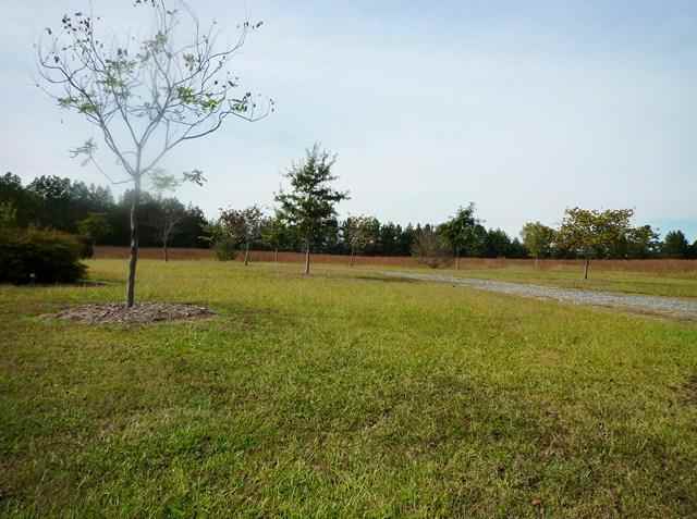 1098 Winn Road Donalds, SC 29638 - Photo 4 of 18