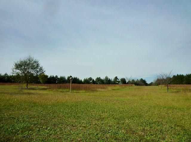 1098 Winn Road Donalds, SC 29638 - Photo 8 of 18