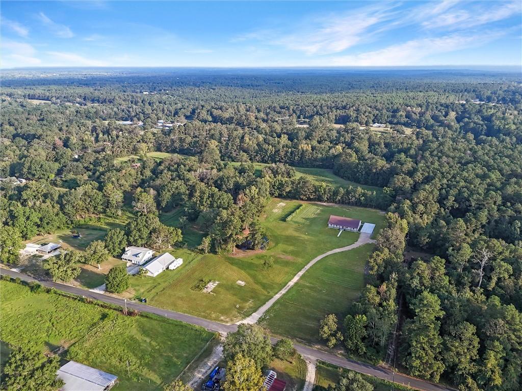 21361 Birtrue Road Bush, LA 70431 - Photo 5 of 38