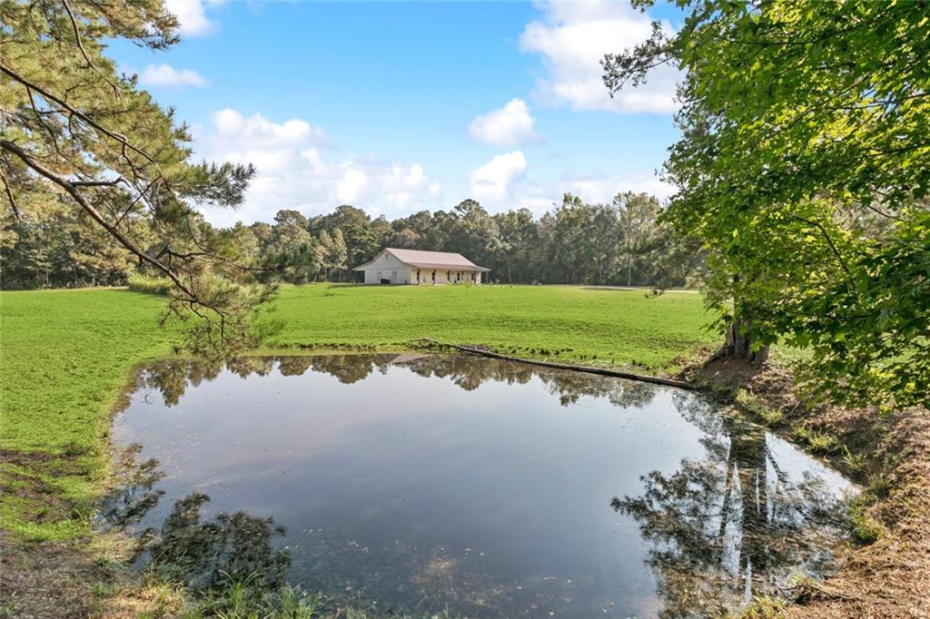 21361 Birtrue Road Bush, LA 70431 - Photo 10 of 38