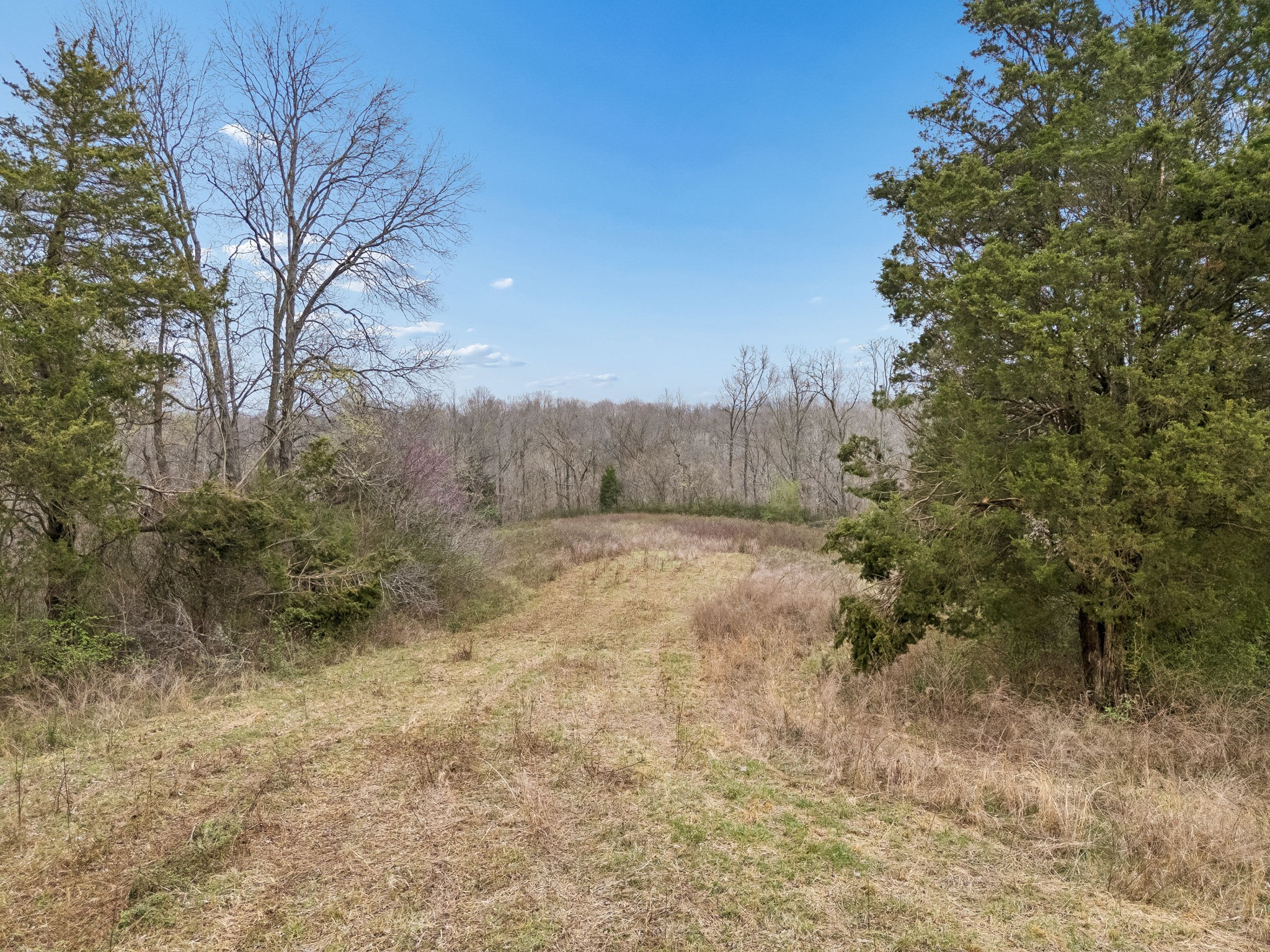 4094 Akin Ridge Road Williamsport, TN 38487 - Photo 19 of 94 Gallery Image 19