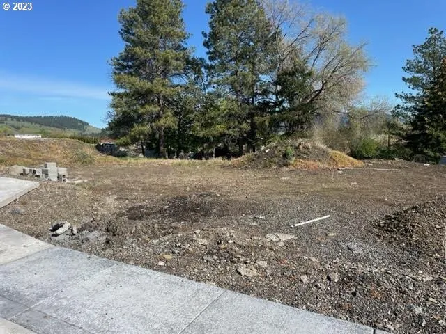 a view of a dirt road with trees in the background