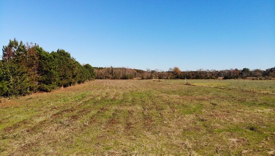 Lot 7 Mink Farm Road, Unit 7 Onancock, VA 23417 - Photo 17 of 27