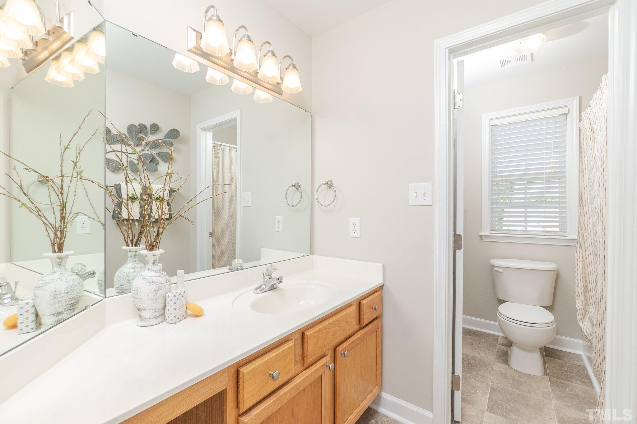 4812 Elmhurst Ridge Court Raleigh, NC 27616 - Photo 13 of 23 a bathroom with a sink a toilet and a mirror