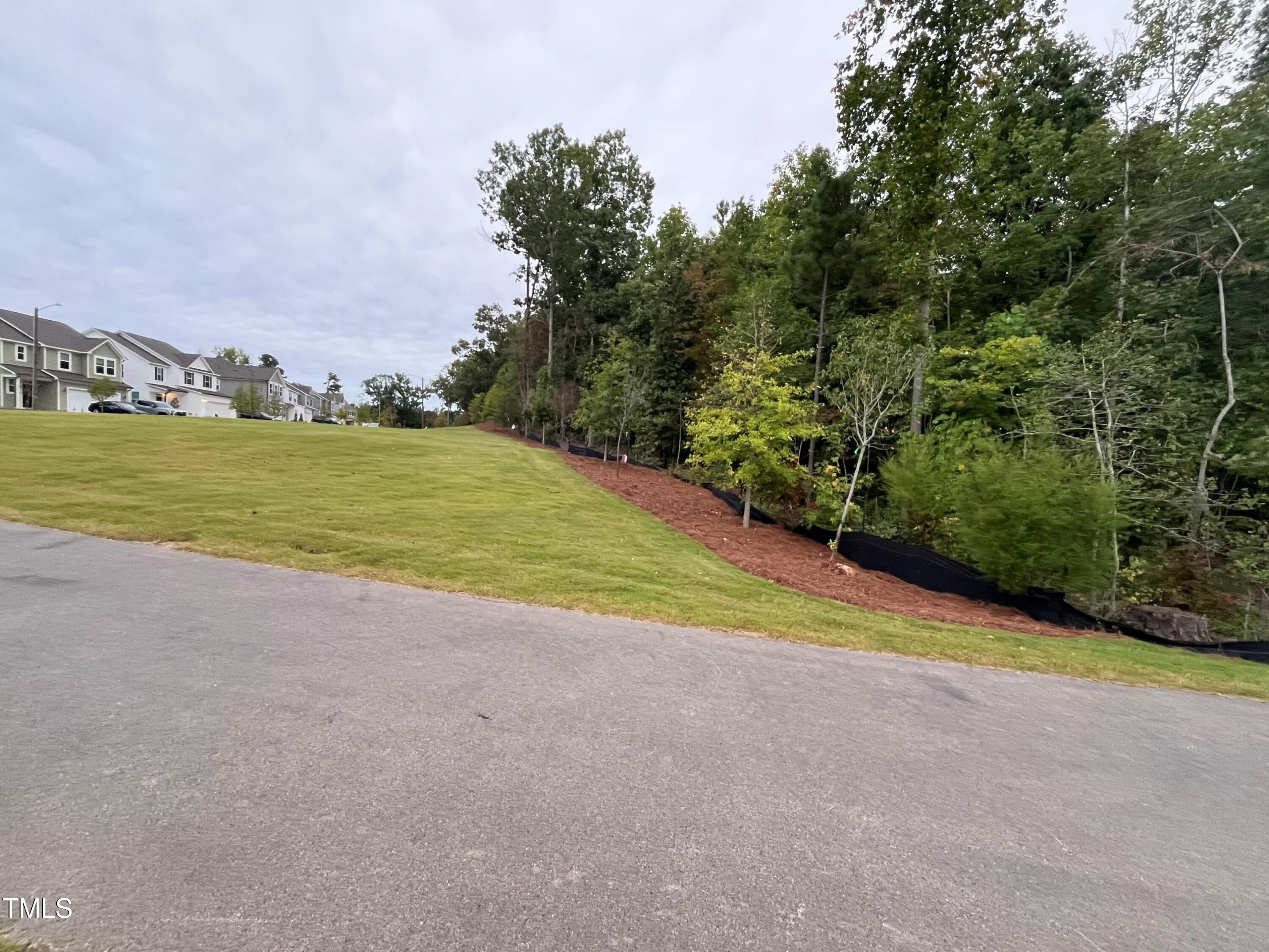 5208 Ranger Grv Way Raleigh, NC 27604 - Photo 49 of 59 a view of an outdoor space and trees