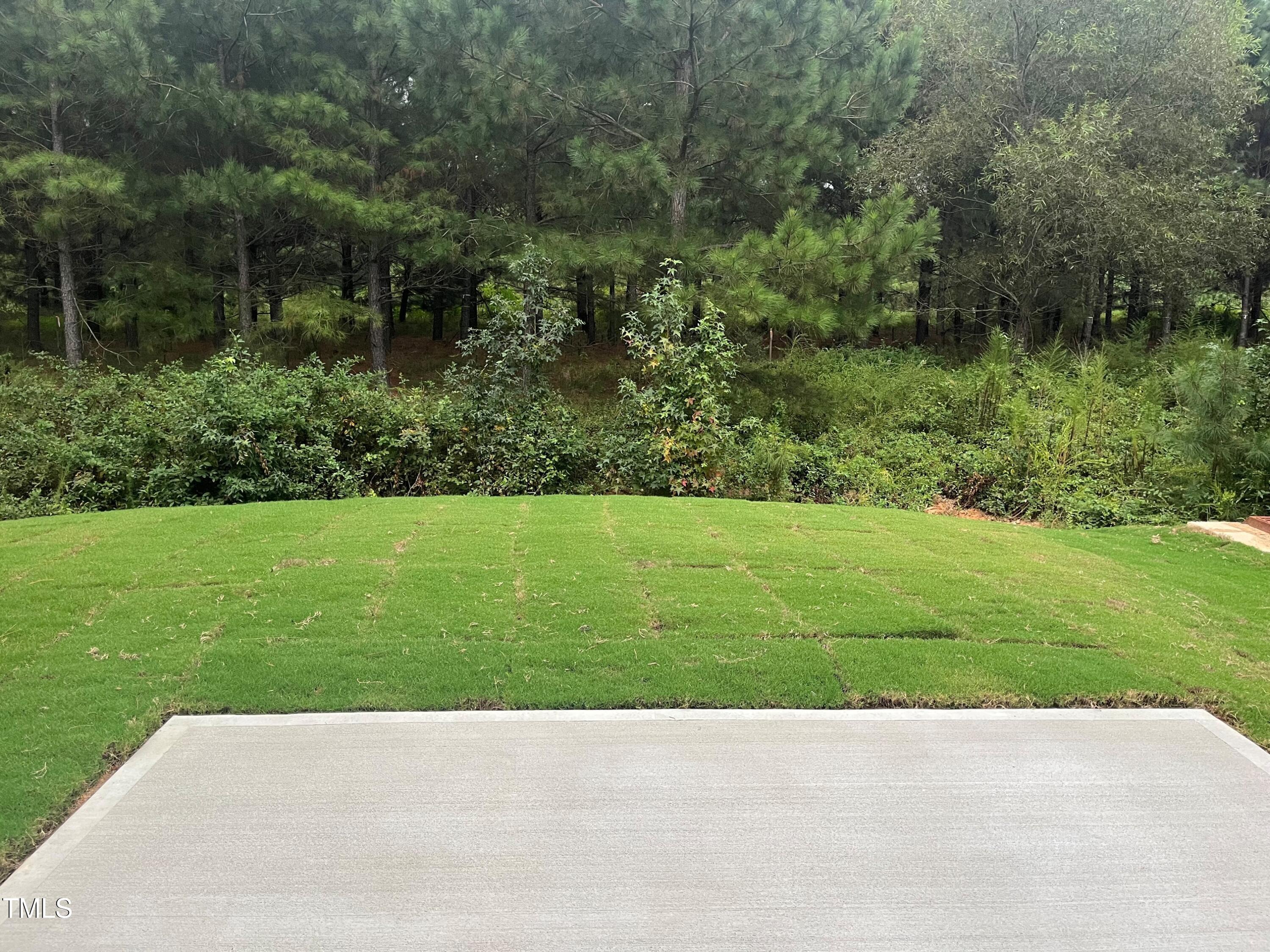 5208 Ranger Grv Way Raleigh, NC 27604 - Photo 6 of 59 Backyard with private tree buffer