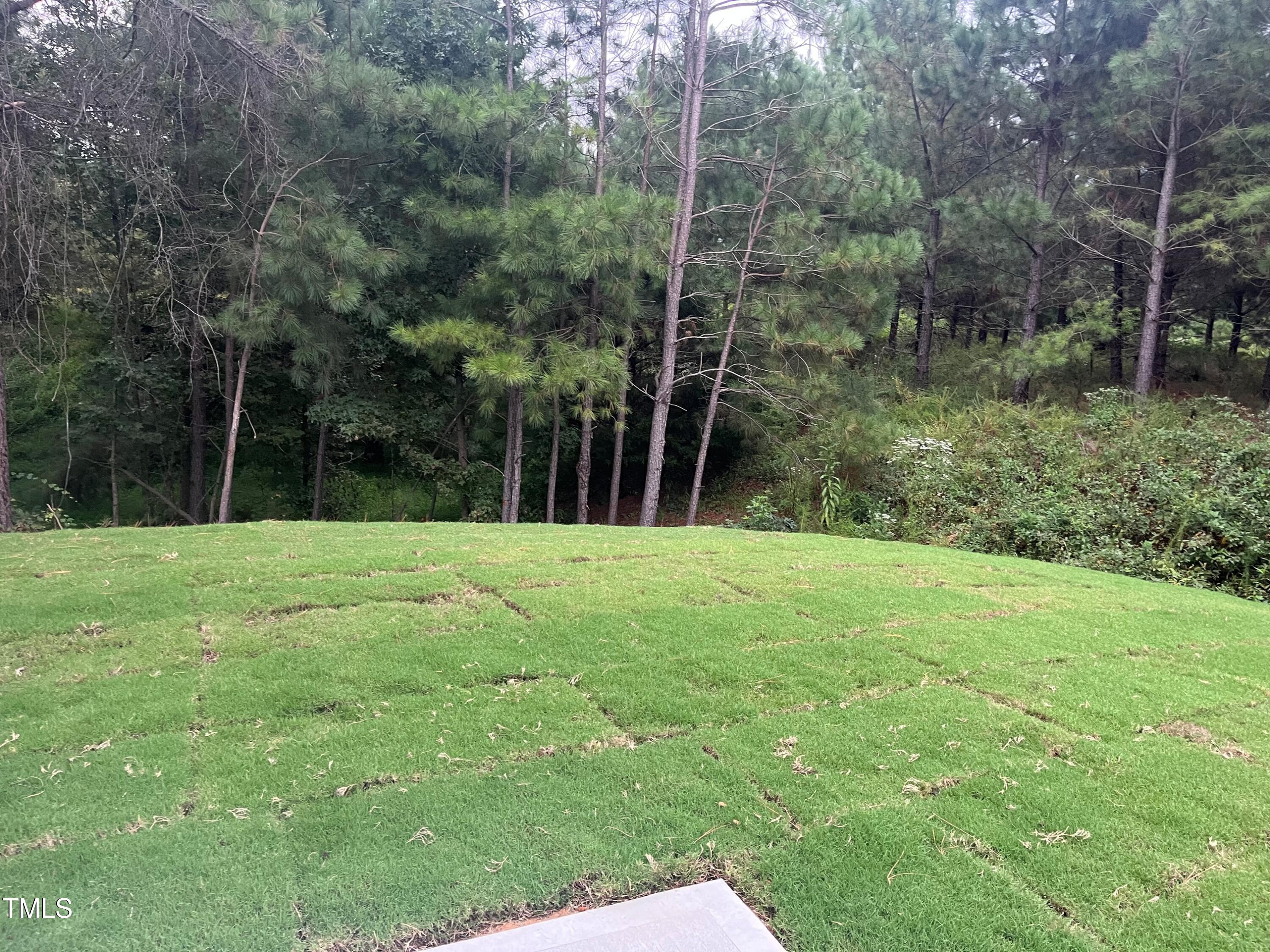5208 Ranger Grv Way Raleigh, NC 27604 - Photo 7 of 59 a view of a backyard
