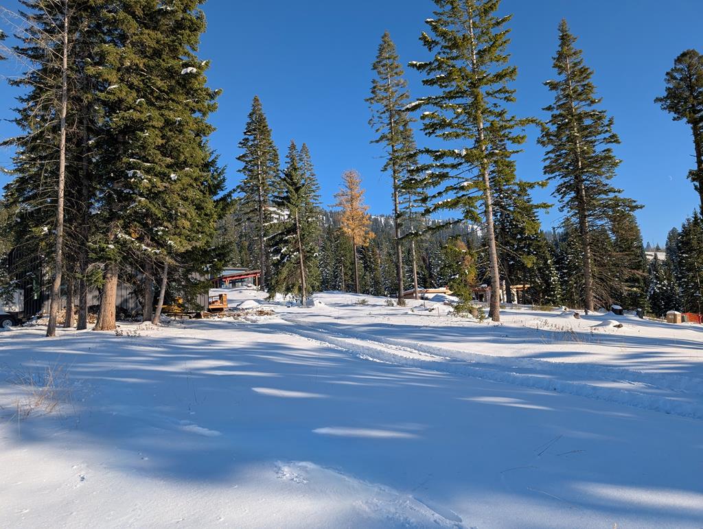 Tbd North Tbd N Loop Road, Unit 5 McCall, ID 83638 - Photo 5 of 28