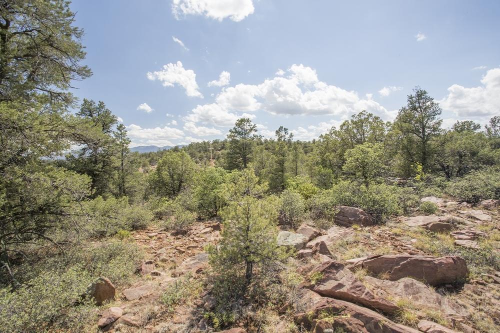 1200 West Airport Road Payson, AZ 85541 - Photo 6 of 50